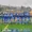 Juniores de Futebol do CD 1º de Maio, época 2024/2025