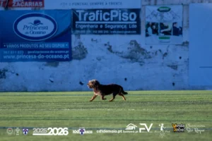 Detalhes Engraçados ao longo do Jogo