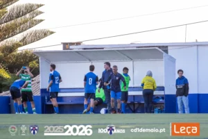 Evolução e Espírito Coletivo